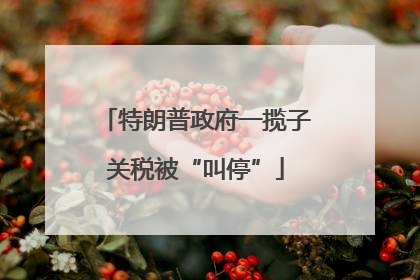特朗普政府一揽子关税被“叫停”