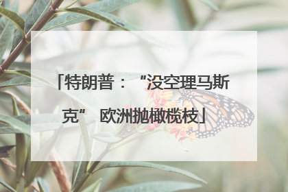 特朗普：“没空理马斯克” 欧洲抛橄榄枝
