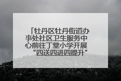 牡丹区牡丹街道办事处社区卫生服务中心前往丁堂小学开展“四送四进四提升”及无烟日宣传活动