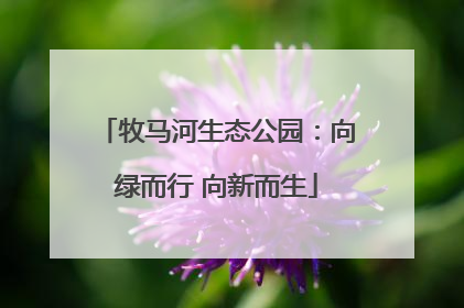 牧马河生态公园：向绿而行 向新而生