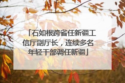 石如根跨省任新疆工信厅副厅长，连续多名年轻干部调任新疆