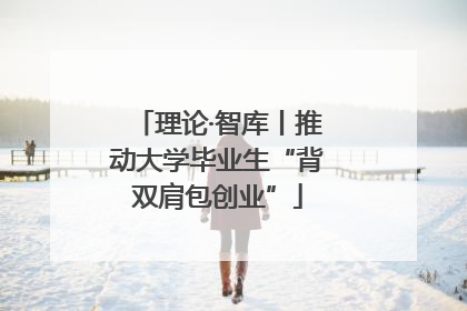 理论·智库丨推动大学毕业生“背双肩包创业”