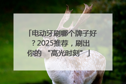 电动牙刷哪个牌子好？2025推荐，刷出你的 “高光时刻”