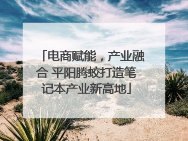 电商赋能，产业融合 平阳腾蛟打造笔记本产业新高地