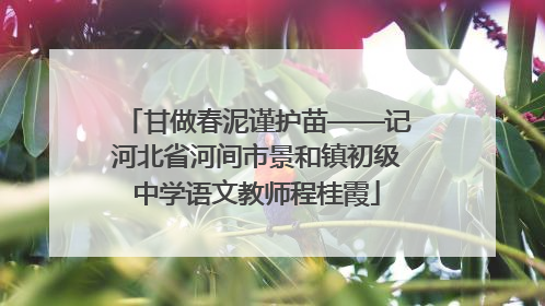 甘做春泥谨护苗——记河北省河间市景和镇初级中学语文教师程桂霞