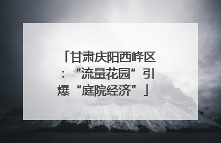 甘肃庆阳西峰区：“流量花园”引爆“庭院经济”