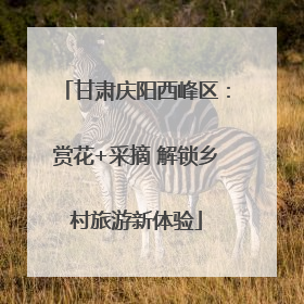 甘肃庆阳西峰区：赏花+采摘 解锁乡村旅游新体验