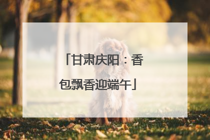 甘肃庆阳：香包飘香迎端午