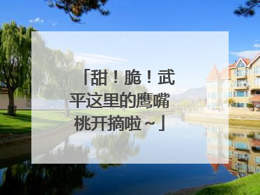 甜！脆！武平这里的鹰嘴桃开摘啦～