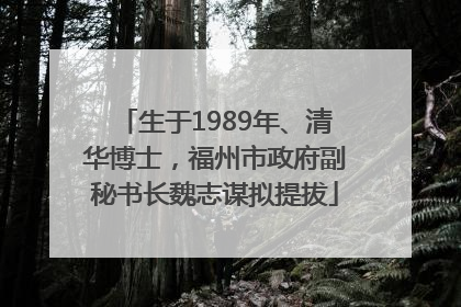 生于1989年、清华博士，福州市政府副秘书长魏志谋拟提拔