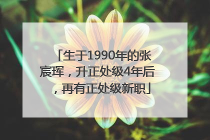 生于1990年的张宸珲，升正处级4年后，再有正处级新职