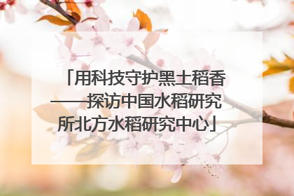 用科技守护黑土稻香——探访中国水稻研究所北方水稻研究中心