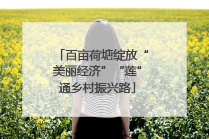 百亩荷塘绽放“美丽经济”“莲”通乡村振兴路