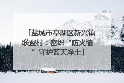 盐城市亭湖区新兴镇联盟村：密织“防火墙”守护蓝天净土