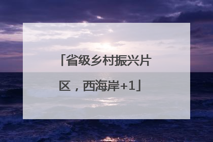 省级乡村振兴片区，西海岸+1