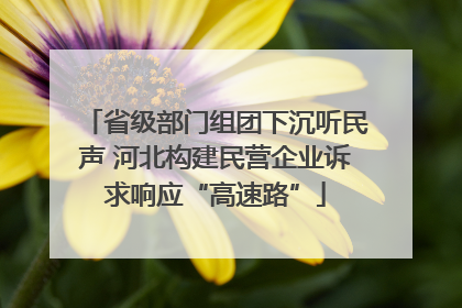 省级部门组团下沉听民声 河北构建民营企业诉求响应“高速路”