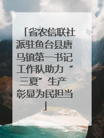 省农信联社派驻鱼台县唐马镇第一书记工作队助力“三夏”生产 彰显为民担当