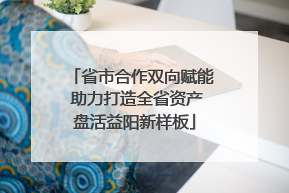 省市合作双向赋能 助力打造全省资产盘活益阳新样板