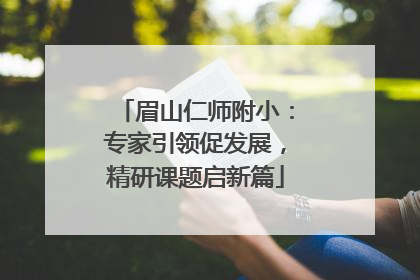 眉山仁师附小：专家引领促发展，精研课题启新篇