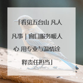 看见五台山 凡人凡事｜窗口服务暖人心 用专业与温情诠释责任担当