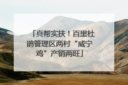 真帮实扶！百里杜鹃管理区两村“威宁鸡”产销两旺