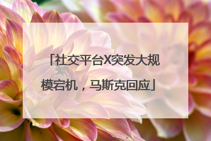 社交平台X突发大规模宕机，马斯克回应