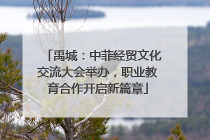禹城：中菲经贸文化交流大会举办，职业教育合作开启新篇章