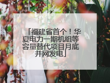 福建省首个！华夏电力一期机组等容量替代项目月底并网发电