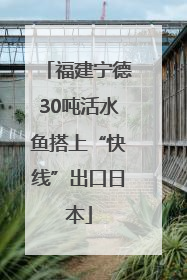 福建宁德30吨活水鱼搭上“快线”出口日本