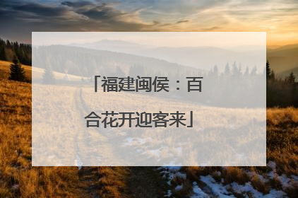 福建闽侯：百合花开迎客来