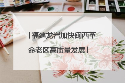 福建龙岩加快闽西革命老区高质量发展