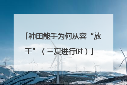 种田能手为何从容“放手”（三夏进行时）