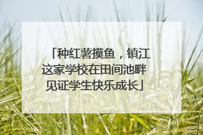 种红薯摸鱼，镇江这家学校在田间池畔见证学生快乐成长