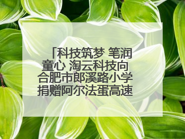 科技筑梦 笔润童心 淘云科技向合肥市郎溪路小学捐赠阿尔法蛋高速词典笔