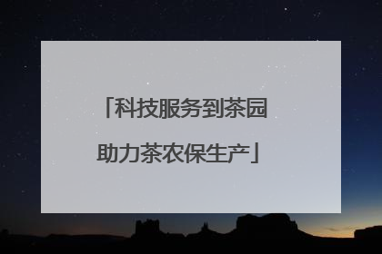 科技服务到茶园 助力茶农保生产