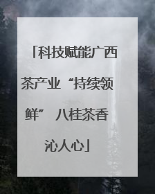 科技赋能广西茶产业“持续领鲜” 八桂茶香沁人心