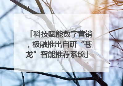 科技赋能数字营销，极融推出自研“苍龙”智能推荐系统