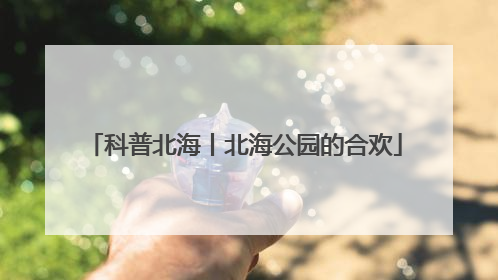 科普北海丨北海公园的合欢
