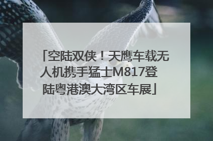 空陆双侠！天鹰车载无人机携手猛士M817登陆粤港澳大湾区车展