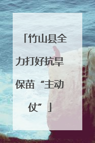 竹山县全力打好抗旱保苗“主动仗”