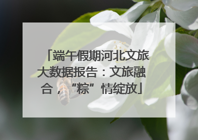 端午假期河北文旅大数据报告：文旅融合，“粽”情绽放