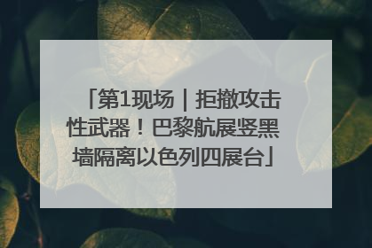 第1现场｜拒撤攻击性武器！巴黎航展竖黑墙隔离以色列四展台