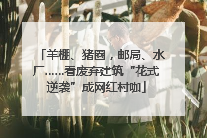羊棚、猪圈，邮局、水厂……看废弃建筑“花式逆袭”成网红村咖