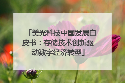 美光科技中国发展白皮书：存储技术创新驱动数字经济转型