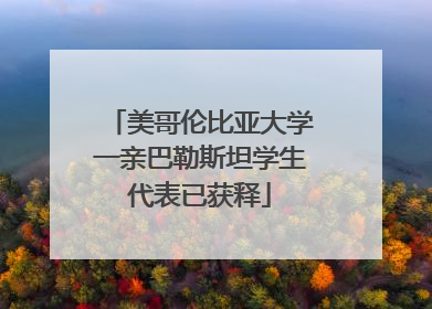 美哥伦比亚大学一亲巴勒斯坦学生代表已获释