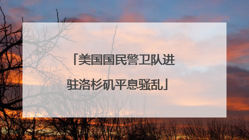 美国国民警卫队进驻洛杉矶平息骚乱