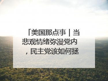 美国那点事｜当悲观情绪弥漫党内，民主党该如何拯救自己？