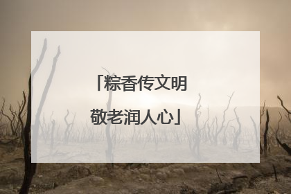粽香传文明 敬老润人心