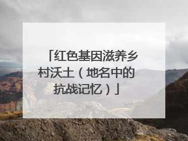 红色基因滋养乡村沃土（地名中的抗战记忆）