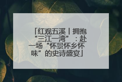红观五溪丨拥抱“三江一湾”：赴一场“怀景怀乡怀味”的史诗盛宴